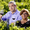 BIO Villa Maggio - Pinot Noir, Siciliaanse biologische rode wijn - Afbeelding 5