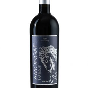 Amongae Sicilia Rosso Riserva D.O.C. biologische rode wijn inhoud fles 750ml.