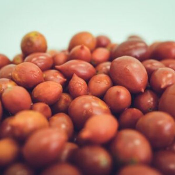 Siciliaanse Datterino tomaatjes