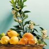 Sici;liaans citrusfruit, van Polara