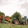 Officine-Kaggiotto-Chiara-voor-tractor-met-kar Sicilië