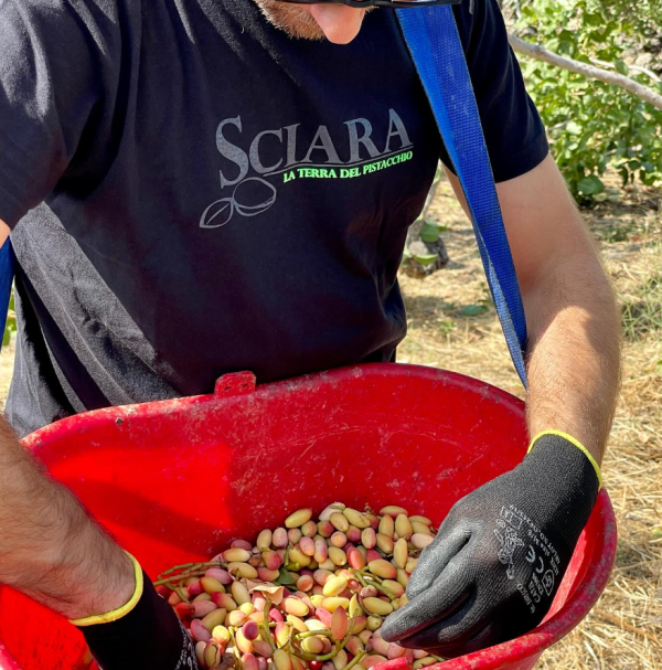 Sciara, crema di pistacchio la classica, Siciliaanse pistachecrème - Afbeelding 4