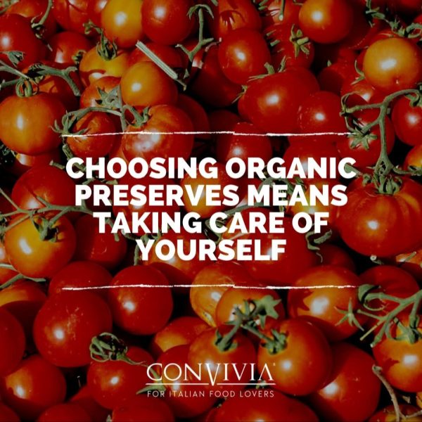 Convivia biologico sugo pronto alla Palermitana 250 ml, biologische cherrytomatensaus alla Palermitana van Siciliè - Afbeelding 3