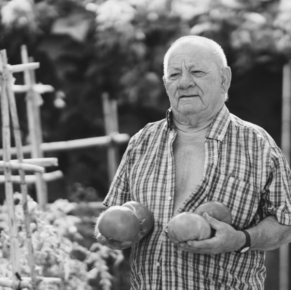 Siciliè, Nonno pomodori, Convivia