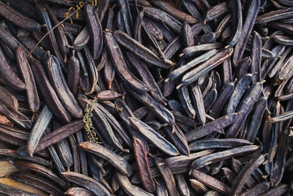 Johannesbrood, Carruba-een-stapel-vol