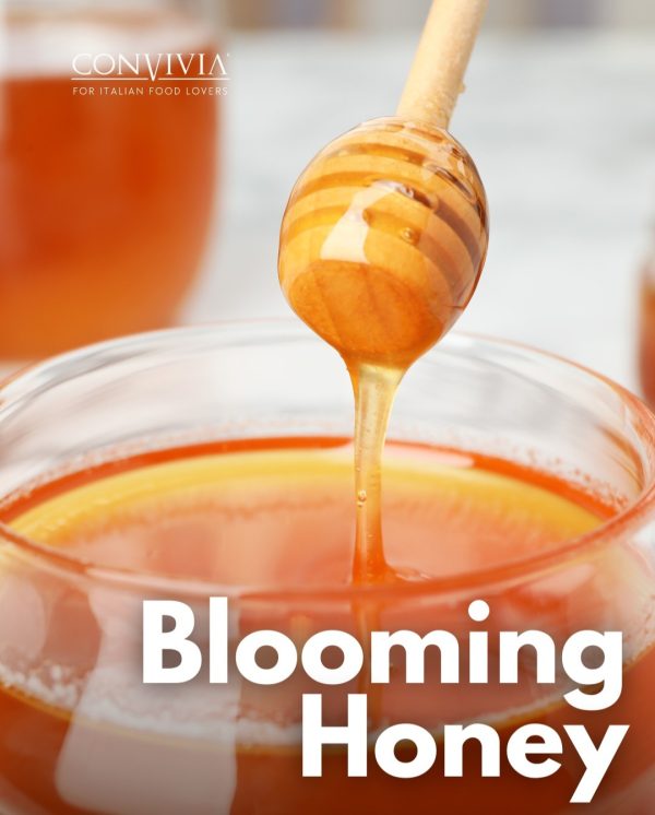 bloemen honing
